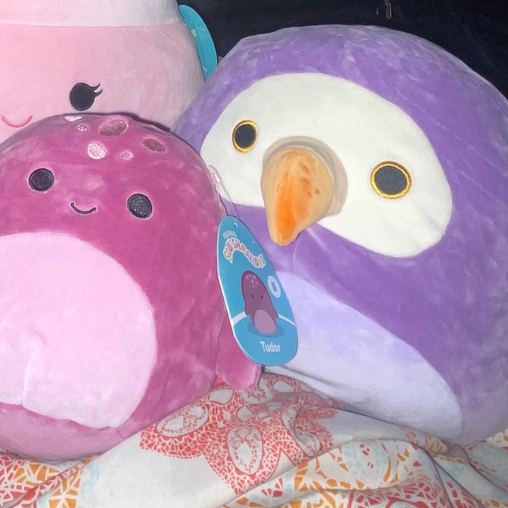 Neha the Dodo Bird 11” NWT Squishmallows Plush